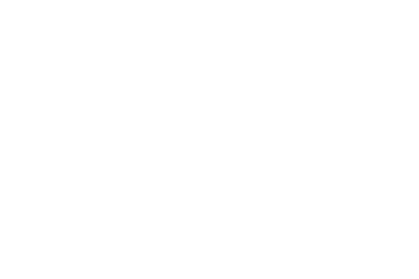 Wisesight